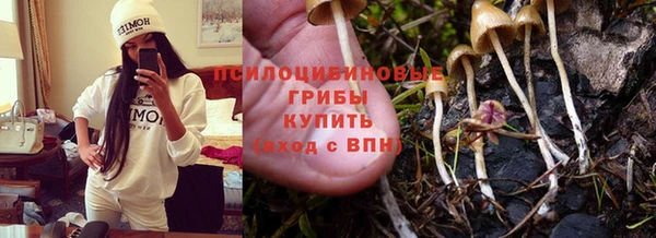 амф Бугульма