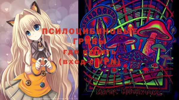 амф Бугульма