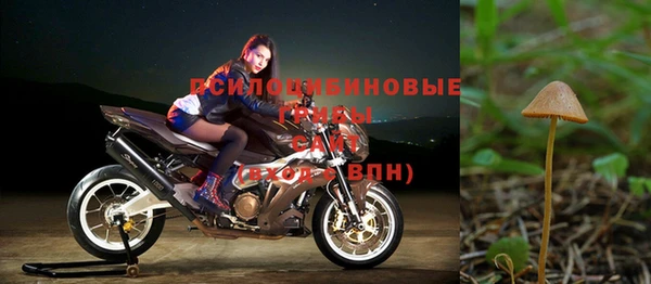 амф Бугульма